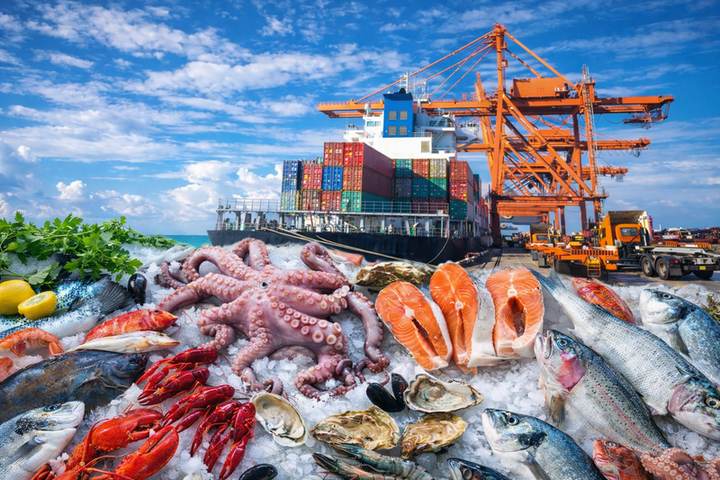 Hạ Tầng Vận Tải & Logistics Hải Sản Thiên Trà