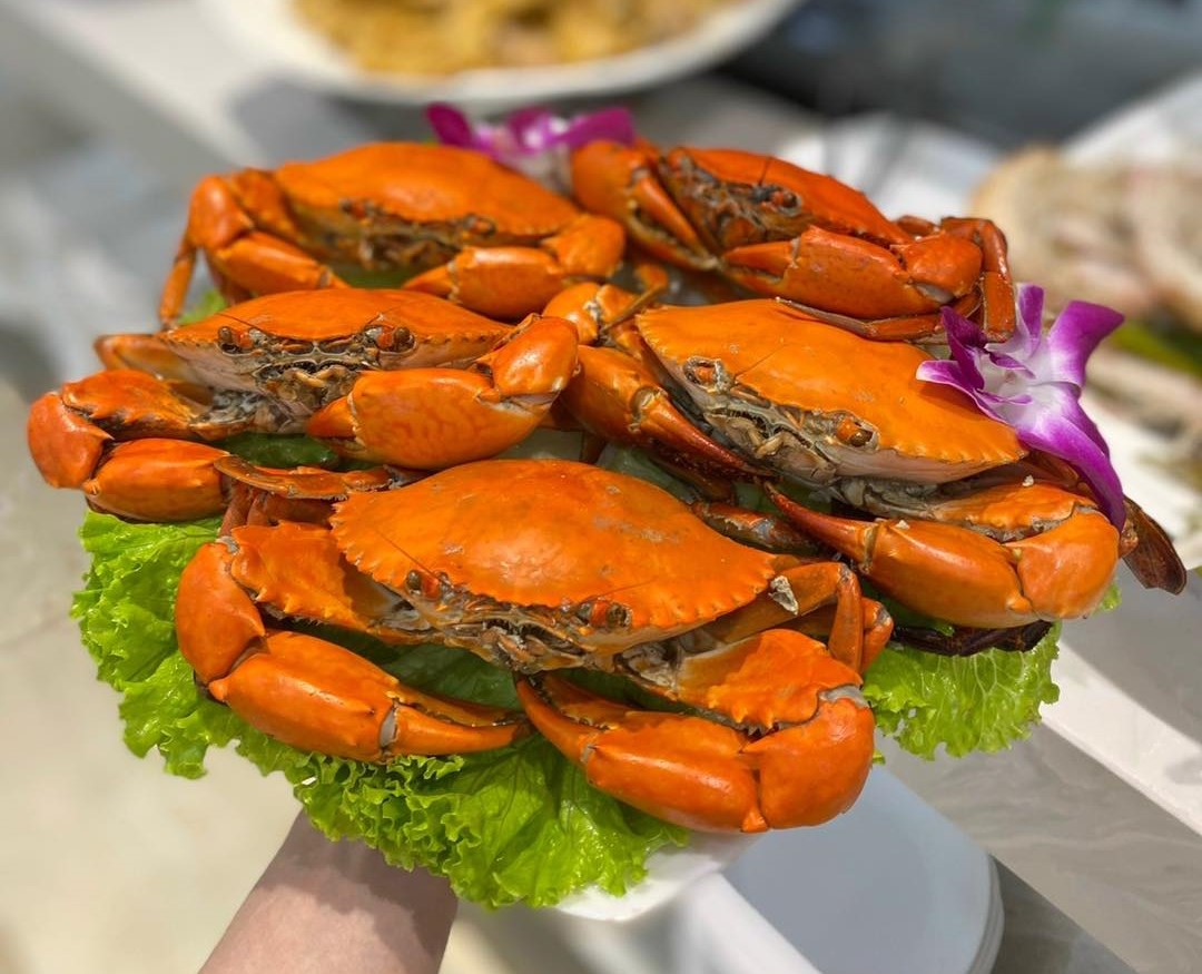Hệ Thống Phân Phối & Bán Lẻ Hải Sản Bơi Hồ