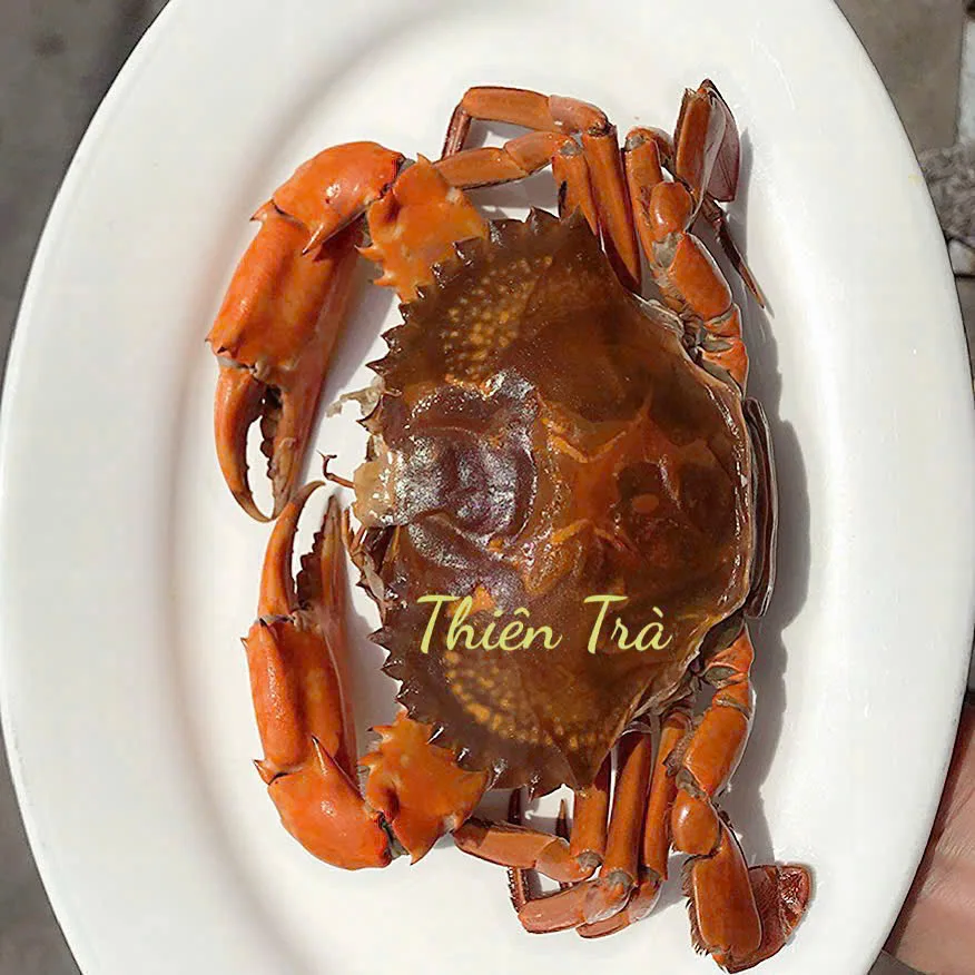 Phân tích thị trường: Nhu cầu Cua Cà Mau phân khúc cao cấp tăng trưởng mạnh mẽ